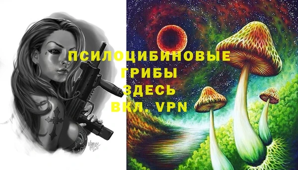 MDMA Premium VHQ Осташков