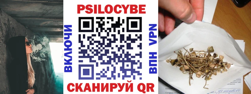 Псилоцибиновые грибы прущие грибы  магазин    Щёкино 
